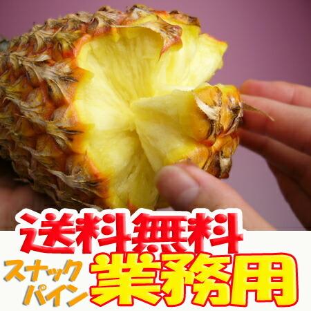 スナックパイン 沖縄産 パイナップル 約20kg (16?30個) 送料無料 ギフト パインアップル_8