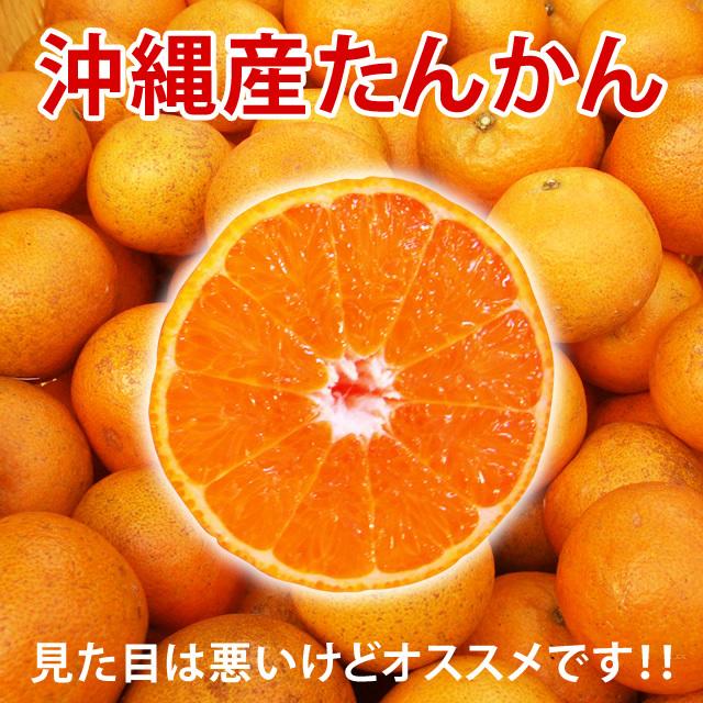 ハナーロック！ 贈答用たんかん10キロ♪ 沖縄 たんかん＼タンカン専用皮むき付／沖縄産 タンカン 10kg (秀品