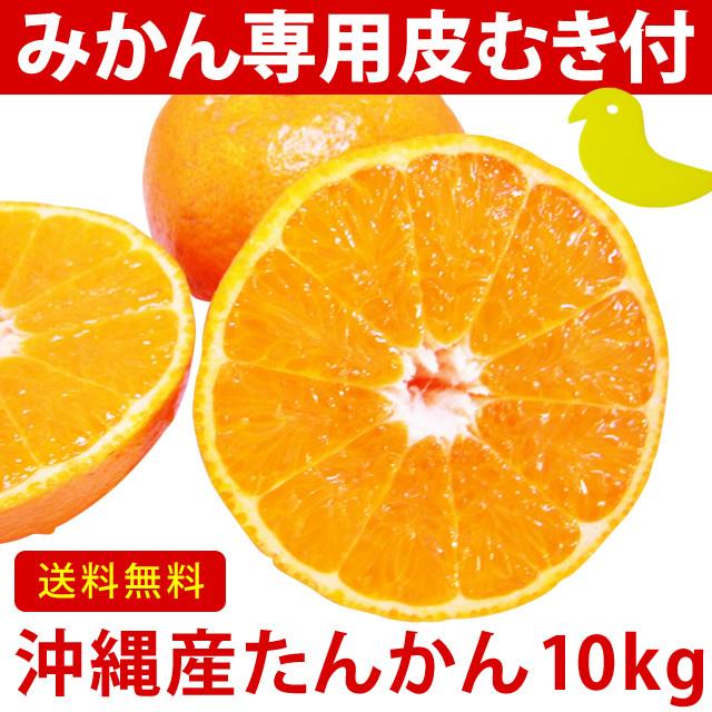 タンカン　10ｋｇ　沖縄産 沖縄 たんかん＼タンカン専用皮むき付／沖縄産 タンカン 10kg (優品