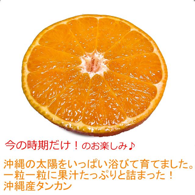 タンカン　10ｋｇ　沖縄産 沖縄県産タンカン 10kg 優品 沖縄 みかん たんかん タンカン ビタミン