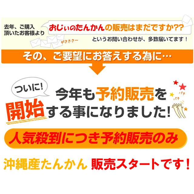 沖縄産タンカン たんかん 5kg 専用皮むきのオマケつき 送料無料 沖縄オレンジ みかん 贈答 訳あり 甘い ミカン 種類 屋久島 鹿児島 奄美 発送可能 Tankan5 沖縄うまいもの屋長浜商店 通販 Yahoo ショッピング