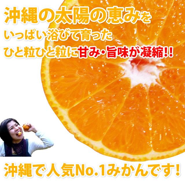 沖縄 たんかん＼タンカン専用皮むき付／沖縄産 タンカン 5kg (自宅用