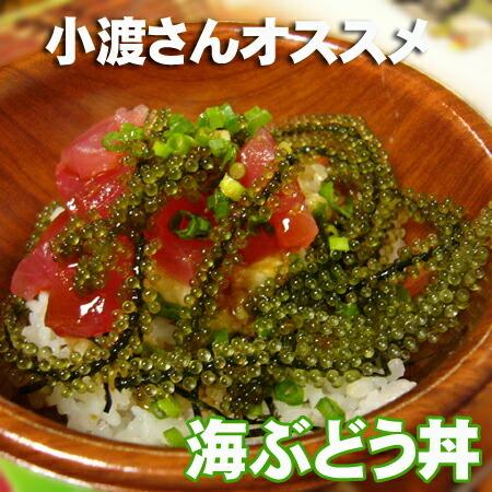 海ぶどう 沖縄産 100g 天皇杯受賞(クビレヅタ：海水入り海ブドウ) うみ