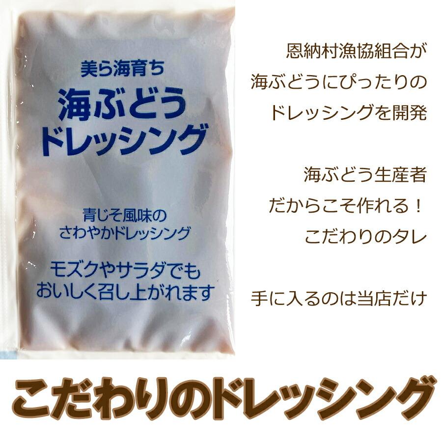 海ぶどう 沖縄産 100g 天皇杯受賞(クビレヅタ：海水入り海ブドウ