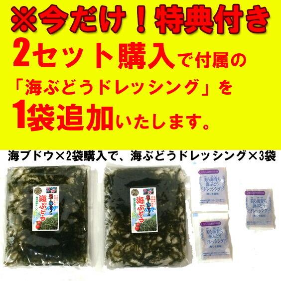 海ぶどう 沖縄産 100g 天皇杯受賞(クビレヅタ：海水入り海ブドウ) うみ