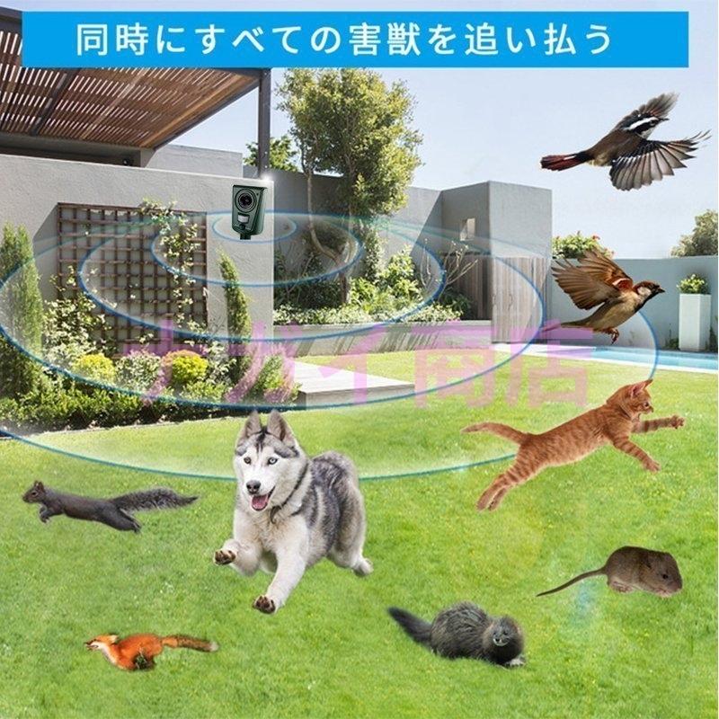期間限定送料無料 動物撃退器 動物撃退 超音波 2個セット 猫よけ 犬よけ 鳥獣対策 防水 簡単 駆除 大型犬 キツネ 小型犬 鳥 ネズミ ヘビ 動物 小動物 猫よけグッズ 農家 庭 畑 Topdental Com Ar