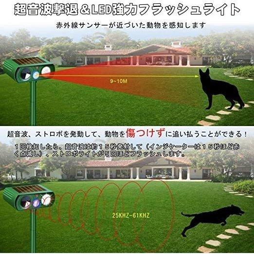 送料込 猫よけ 2 セット 超音波 ソーラー 防水 動物撃退器 害獣対策 猫よけグッズランキング 鳥よけ 犬除け イノシシよけ Ipx4防水防塵amp Led強力フラッシュ Rmb Com Ar