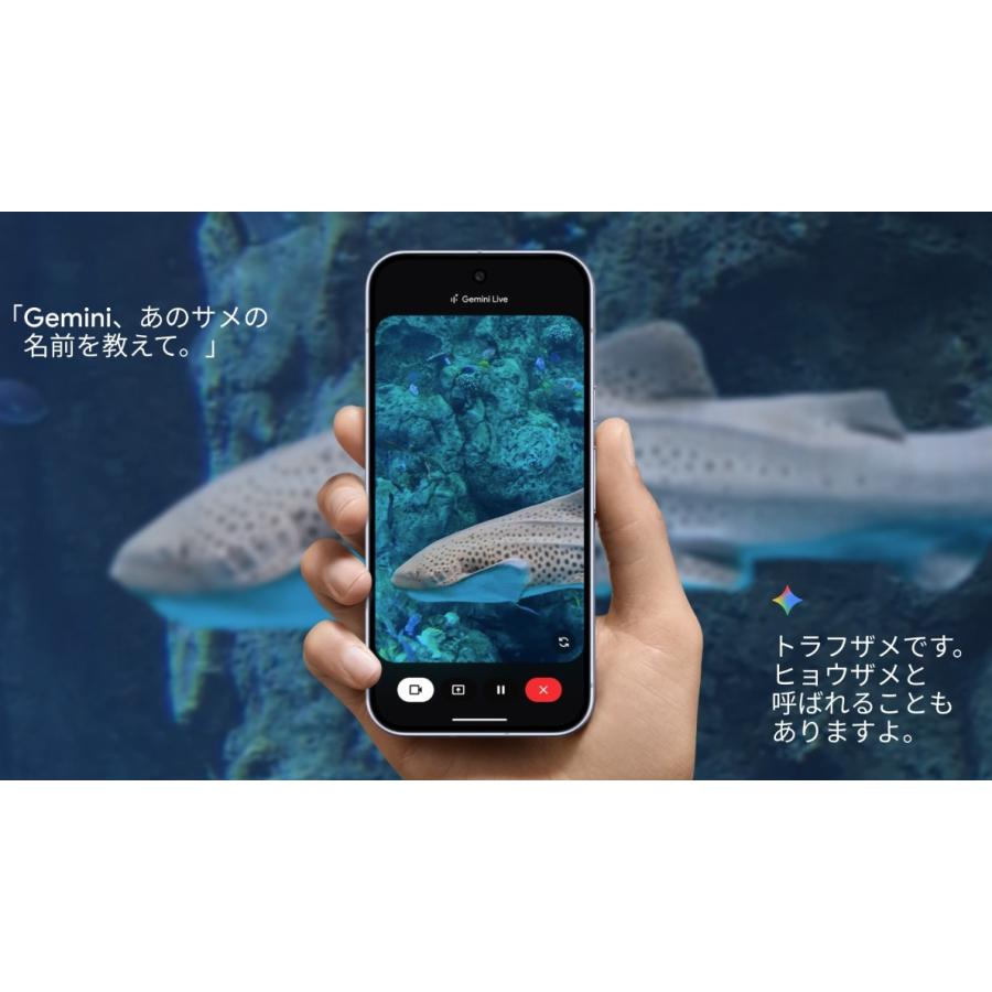Google Pixel 10 Pro 256GB Porcelain（白） SIMフリー /楽天