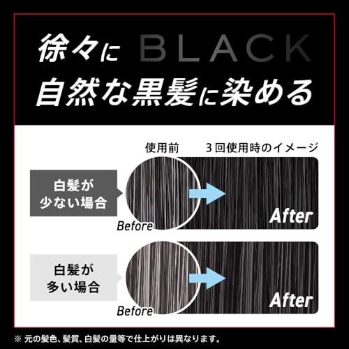 サクセスブラック ふんわり仕上がるカラートリートメント 約7