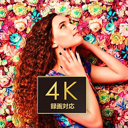 アイ・オー・データ 外付けHDD ハードディスク 4TB テレビ録画 4K録画 24時間連続録画 静音 ファンレス ディーガ&ビエラ推奨 日本製 4TB Windows USB