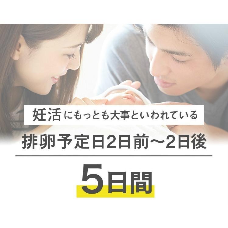 妊活グッズ  シリンジ法 シードイン 3回分 と 妊活ゼリー ポジティブサポート のセット　タイミング法｜nagaikiya-honpo｜02