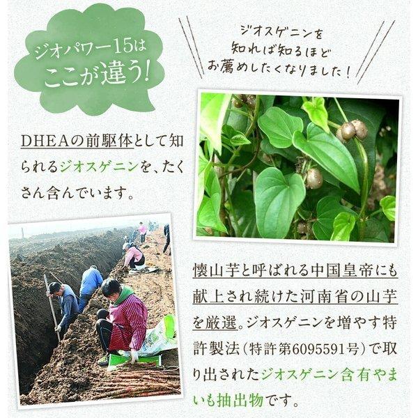 妊活 不妊 ミライ 1ヶ月分 60粒 ミトコンドリア コエンザイムq10 亜鉛 ビタミンD dhea サプリ 山芋｜nagaikiya-honpo｜12