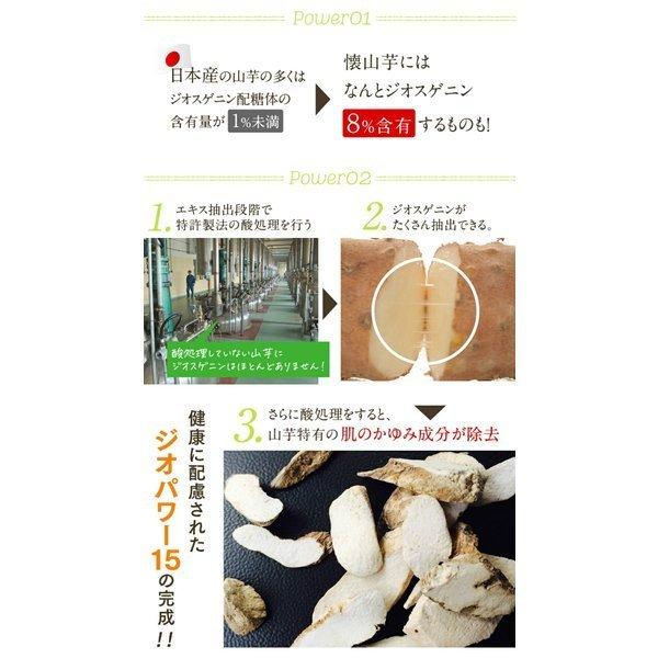 妊活 不妊 ミライ 1ヶ月分 60粒 ミトコンドリア コエンザイムq10 亜鉛 ビタミンD dhea サプリ 山芋｜nagaikiya-honpo｜13