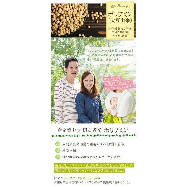 妊活 不妊 ミライ 1ヶ月分 60粒 ミトコンドリア コエンザイムq10 亜鉛 ビタミンD dhea サプリ 山芋｜nagaikiya-honpo｜14