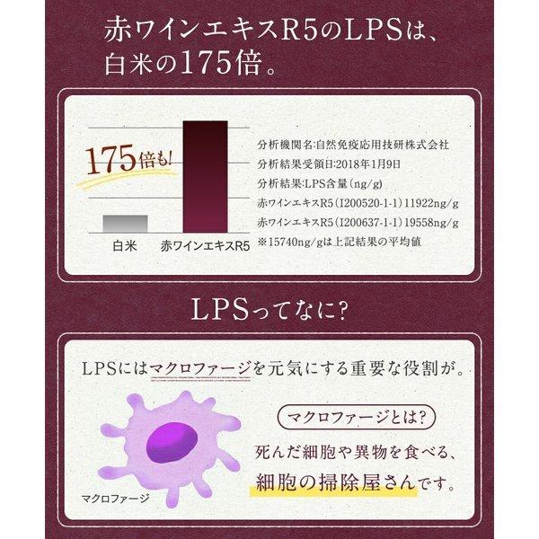 妊活 不妊 ミライ 1ヶ月分 60粒 ミトコンドリア コエンザイムq10 亜鉛 ビタミンD dhea サプリ 山芋｜nagaikiya-honpo｜16