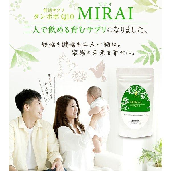 妊活 不妊 ミライ 1ヶ月分 60粒 ミトコンドリア コエンザイムq10 亜鉛 ビタミンD dhea サプリ 山芋｜nagaikiya-honpo｜03