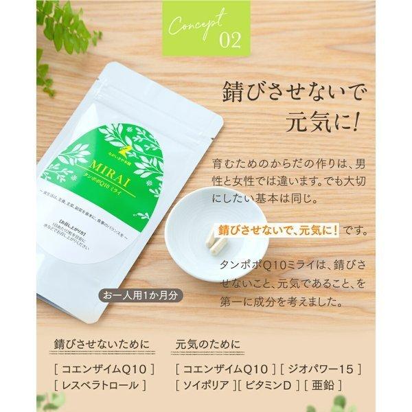 妊活 不妊 ミライ 1ヶ月分 60粒 ミトコンドリア コエンザイムq10 亜鉛 ビタミンD dhea サプリ 山芋｜nagaikiya-honpo｜21