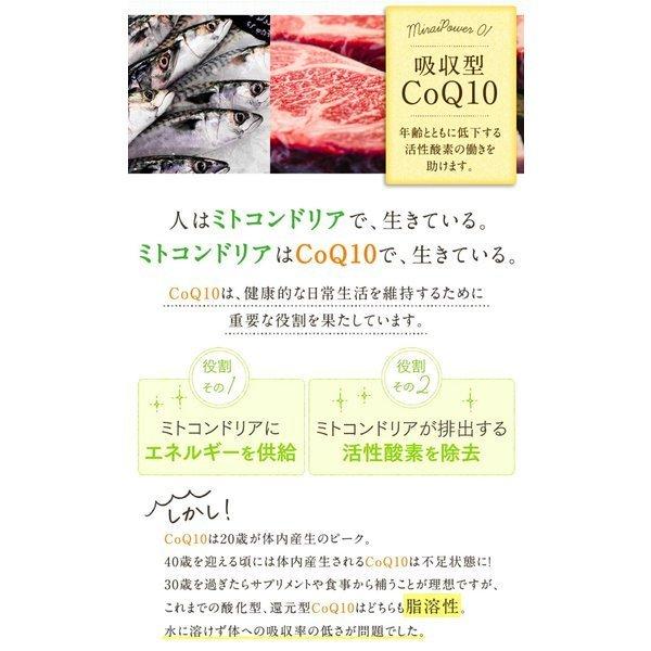 妊活 不妊 ミライ 1ヶ月分 60粒 ミトコンドリア コエンザイムq10 亜鉛 ビタミンD dhea サプリ 山芋｜nagaikiya-honpo｜07