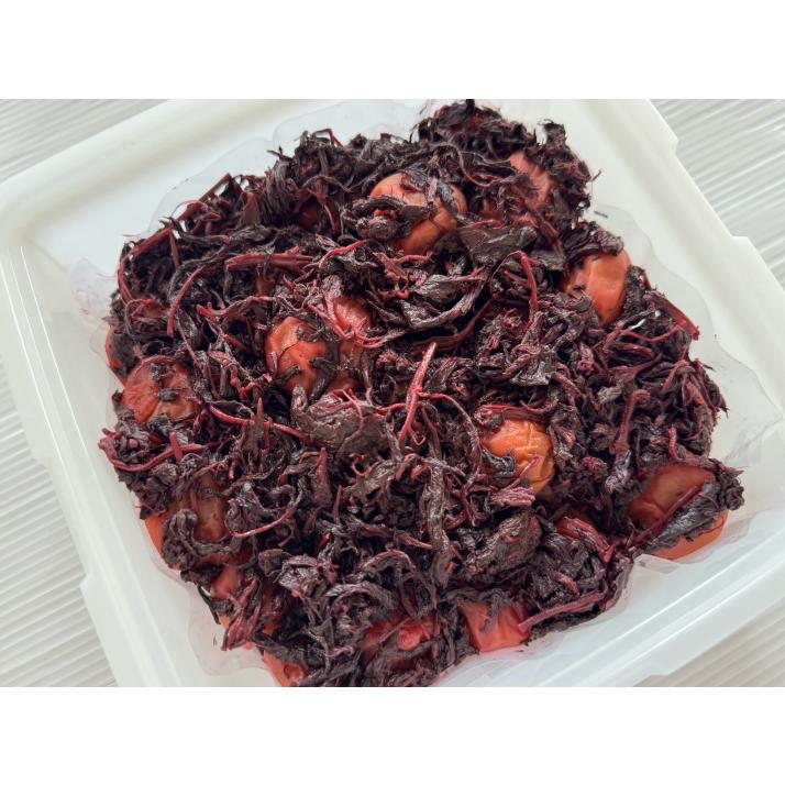 送料無料 昔懐かしい梅干し 1.2kg（しそ含む） 約塩分20% 梅干し 無