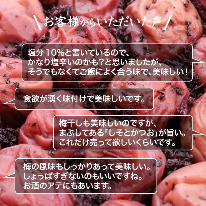 梅干し 訳あり はちみつ かつお梅 減塩 南高梅 10% うめぼし 訳アリ お徳用 国産 和歌山 紀州 （つぶれ梅 しそかつお 150g×2パック）｜nagaikiya88｜06