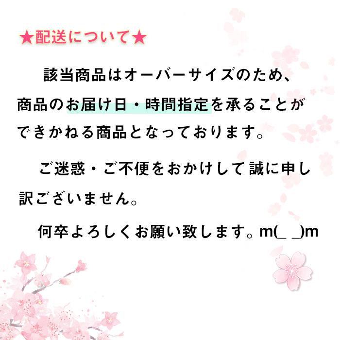 送料無料 猫ケージ キャットケージ 2段 ペット 広々 スチール製 送料無料 猫ケージ キャットケージ 2段 ペット 広々 スチール製