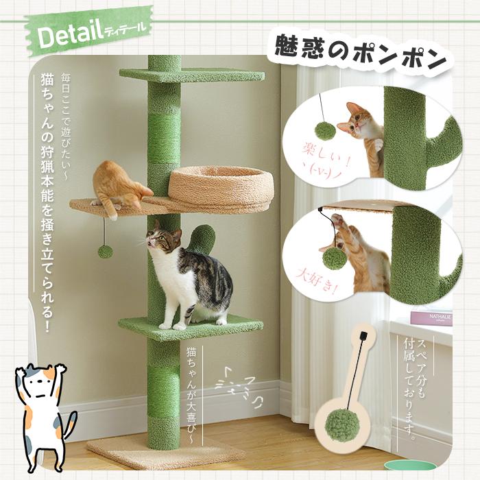 送料無料 キャットタワー 突っ張り サボテン スリム 太い支柱 極太10cm柱 猫タワー つっぱり 多頭飼い 爪研ぎ 省スペース 高さ調整幅205〜255cm : ペットのlife&styleショップ - 通販 - Yahoo!ショッピング 送料無料 キャットタワー 突っ張り サボテン スリム 太い支柱 極太10cm柱 猫タワー つっぱり 多頭飼い 爪研ぎ 省スペース 高さ調整幅205〜255cm : ペットのlife&styleショップ - 通販 - Yahoo!ショッピング