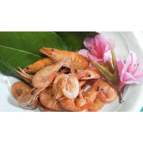 22春夏新作 ボイルエビ Quran Unv Edu Sd