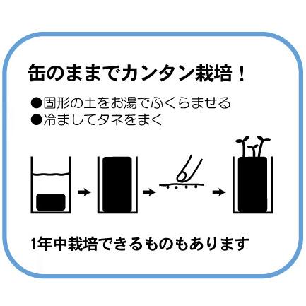 ホームガーデンシリーズ　缶で育てる栽培キット｜nagakura-store｜18