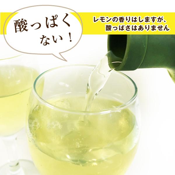 プチギフト お茶 ティーバッグ 緑茶 フレーバーティー 専門店 ギフト