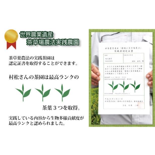 茶葉 2024年度産 お茶 緑茶 静岡茶 牧之原茶100g×2本 : お茶通販 茶葉 2024年度産 お茶 緑茶 静岡茶 牧之原茶100g×2本 : お茶通販