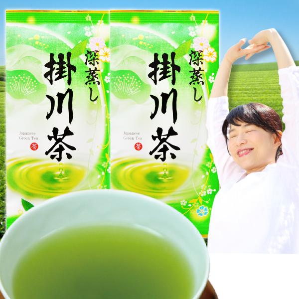 お茶 信用 お求めやすく価格改定 緑茶 静岡茶 2021年度産 掛川茶100g×2本