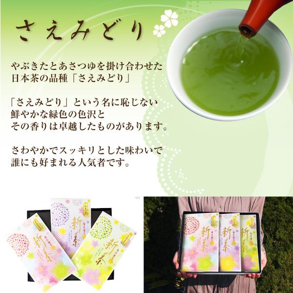 遅れてごめんね 母の日 2024 プレゼント 新茶 お茶 珍しい 花以外 おしゃれ 人気 ランキング 1位 緑茶 ギフト ARA-43 鹿児島3品種飲み比べセット｜nagamine-seicha｜04