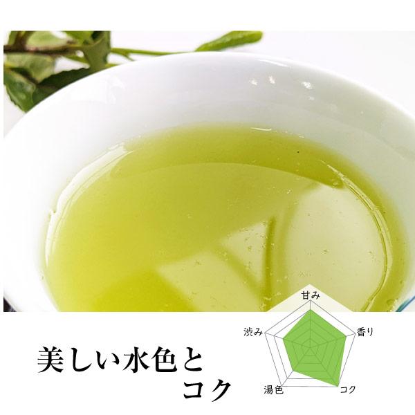 茶葉 お茶 緑茶 鹿児島茶 2026年度産 特選ゆたかみどり80g : お茶通販