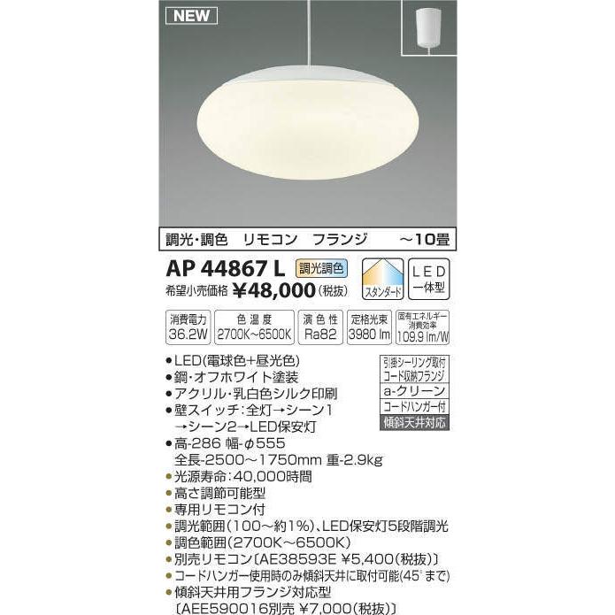 標本　日本のエチゴマイマイ似の中国のカタツムリSP種超レアsize59.2￼mm 標本 日本のエチゴマイマイ似の中国のカタツムリSP種超レアsize59.2