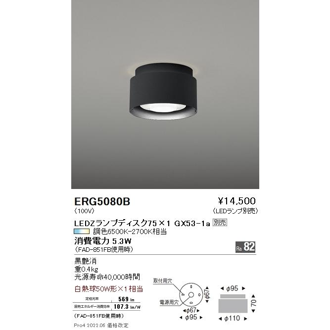 ERG5080B 遠藤照明 シーリング【ランプ別売】