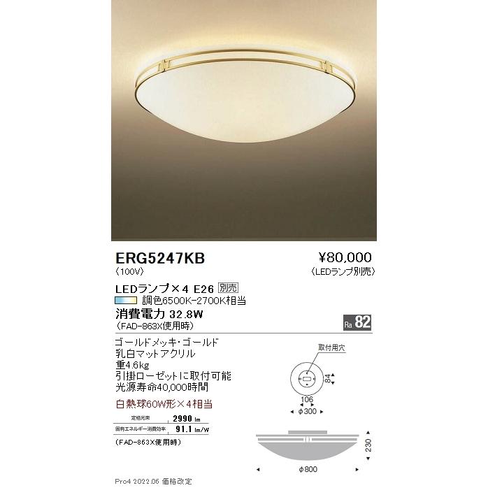 ERG5247KB 遠藤照明 シーリング【ランプ別売】