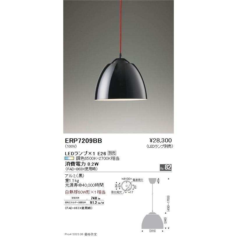ERP7209BB 遠藤照明 ペンダント【ランプ別売】