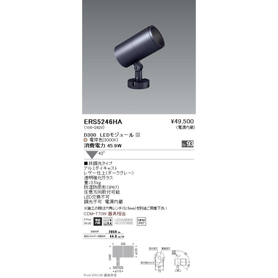 ERS5246HA 遠藤照明 ＣＯＢ屋外ＳＰ Ｄ３００ 広角 ３０００Ｋ Ｒａ９３