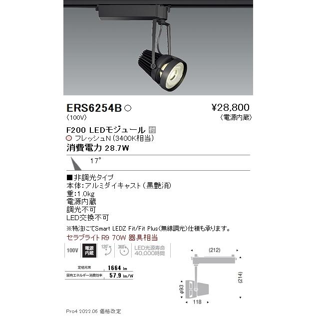 ERS6254B 遠藤照明 生新しい注目の的 Ｆ２００ 生新しいＮ 中角 シーリングライト、天井照明-照明、電球
