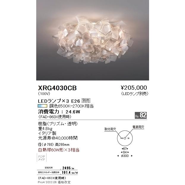 XRG4030CB 遠藤照明 ABITAGE シーリング【ランプ別売】【公式通販】