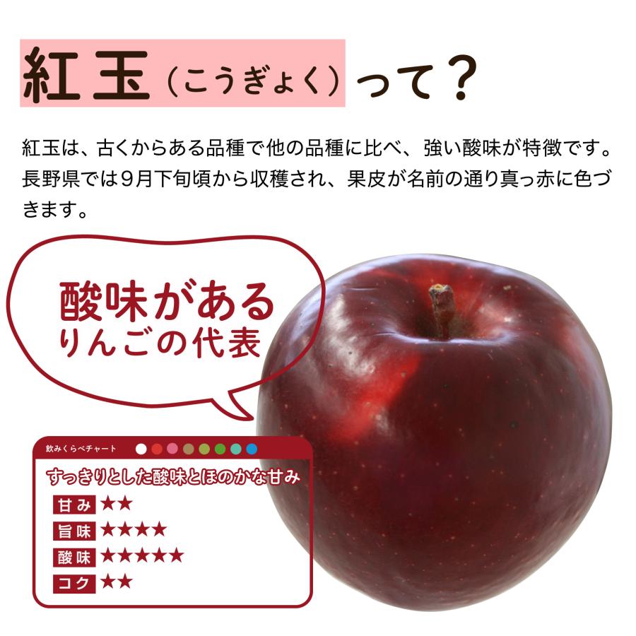 りんごジュース ストレート 缶 長野 100% 長野興農 紅玉りんごジュース 160g/30本入｜naganokono-shop｜02