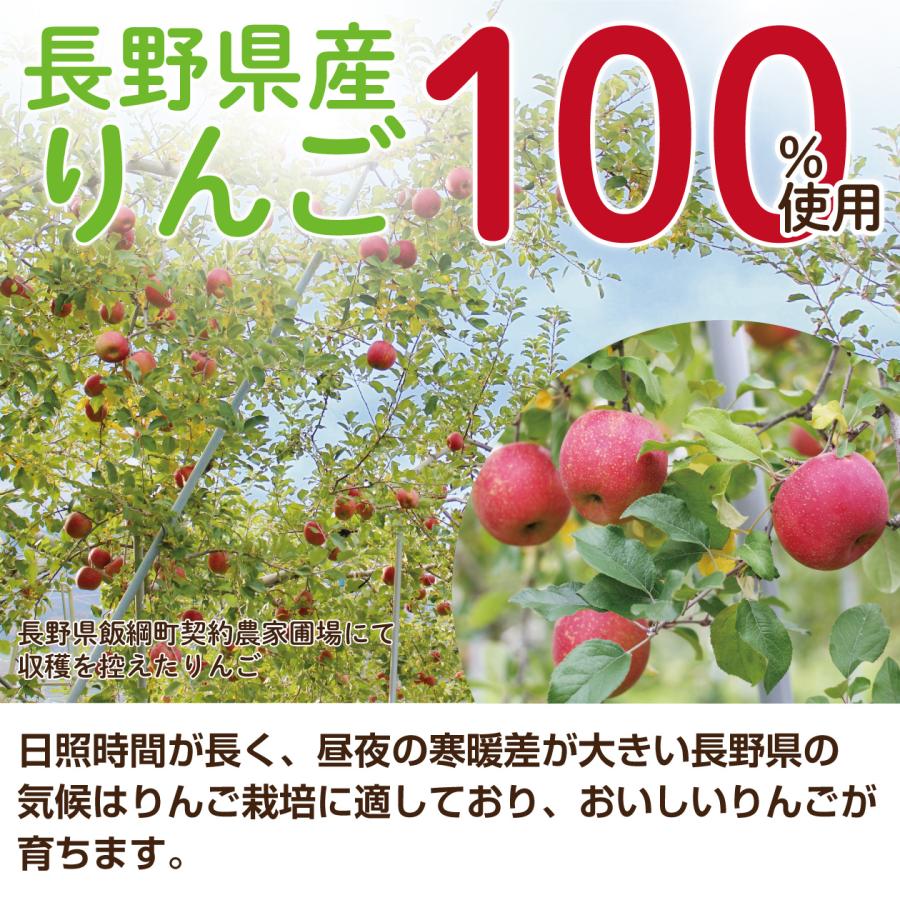 りんごジュース ストレート 缶 長野 100% 長野興農 紅玉りんごジュース 160g/30本入｜naganokono-shop｜06