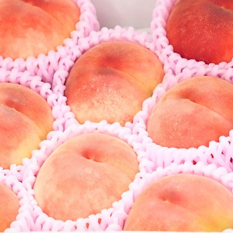 今季販売終了】川中島 白桃 特選品（贈答用） 2kg 7-8玉入り【8月上旬
