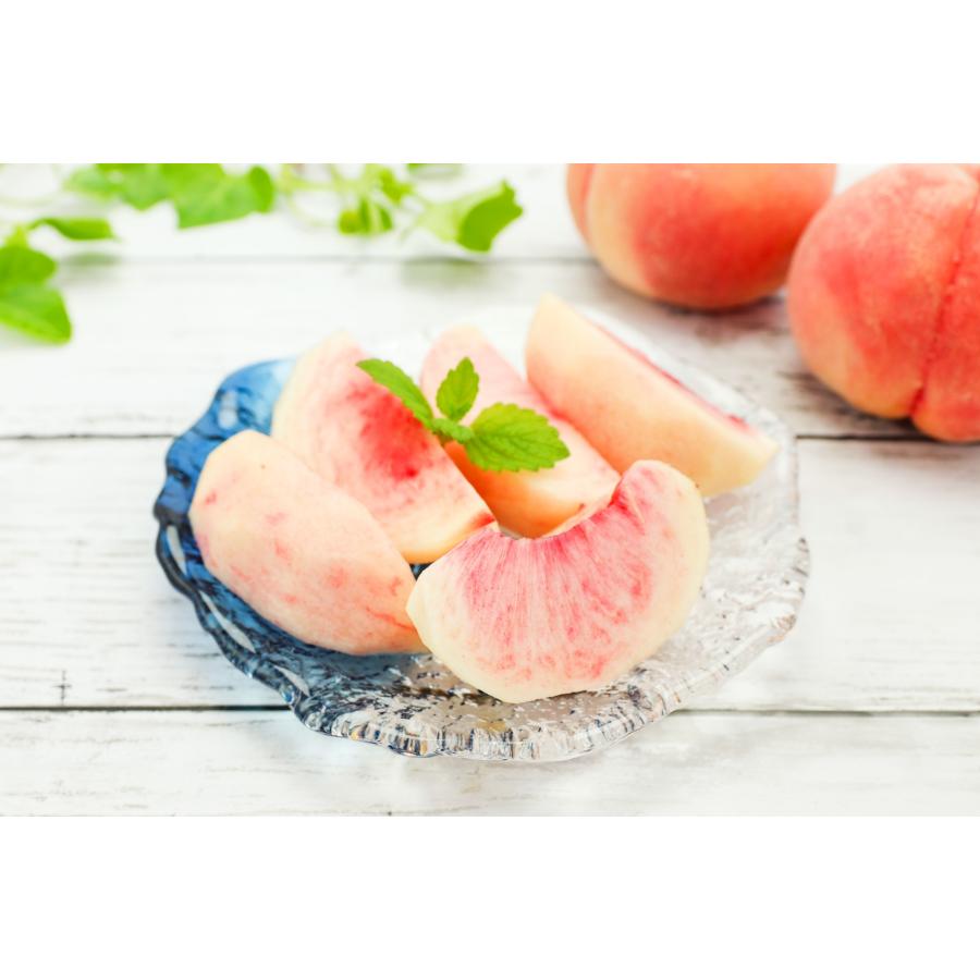 今季販売終了】川中島 白桃 特選品（贈答用） 2kg 7-8玉入り【8月上旬