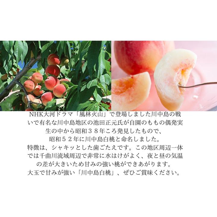 今季販売終了】川中島 白桃 特選品（贈答用） 2kg 7-8玉入り【8月上旬