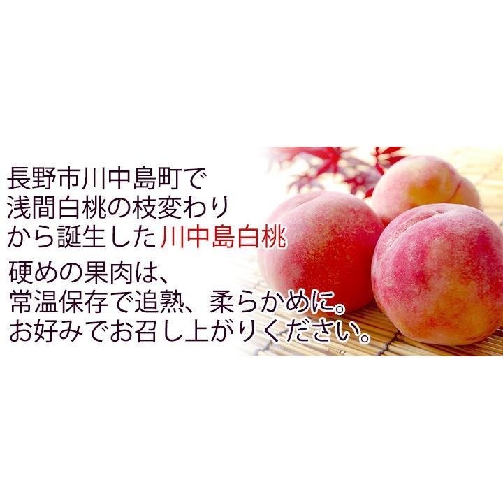 【先行予約7/25まで】贈答用　川中島白桃１つ撰び！ 今季販売終了】川中島 白桃 特選品（贈答用） 2kg 7-8玉入り【8月上旬