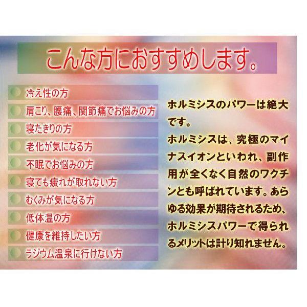 岩盤浴気分を体感できるホルミシス敷きパット「アンジェリカ」【メーカー直送送料無料】【代引き不可】｜naganumakikaku｜02