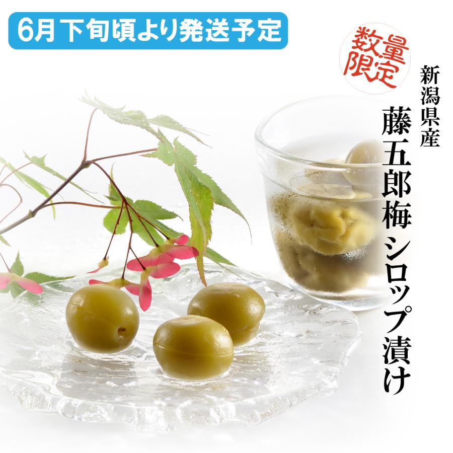 Zo 132 お金を節約 藤五郎梅シロップ漬け