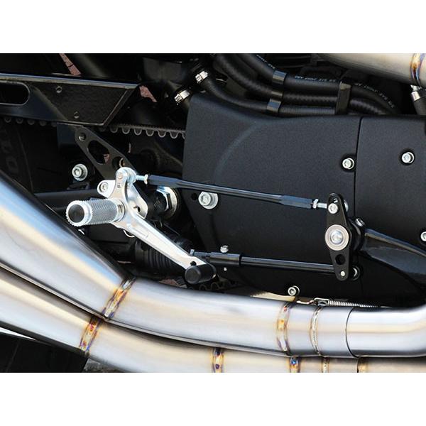 ＢａｂｙＦａｃｅ　ＳＴＥＰ　ＫＩＴ　Harley-Davidson Sporter XL883 ABS 14　品番 002-HD010BK/002-H010SV
