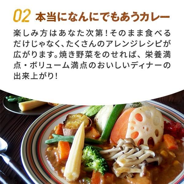 五島の鯛で出汁をとったなんにでもあうカレー（豚なんこつ）3袋セット　送料無料　｜nagasakigoto02｜07